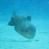 images/Galerien/Aegypten_Marsa_Alam/019_egypt_marsa_alam.jpg
