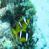 images/Galerien/Aegypten_Marsa_Alam/031_egypt_marsa_alam.jpg