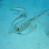 images/Galerien/Aegypten_Marsa_Alam/042_egypt_marsa_alam.jpg