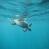 images/Galerien/Aegypten_Marsa_Alam/059_egypt_marsa_alam.jpg