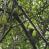 images/Galerien/Aeltere_Bilder/a1173301281869469-7463.jpg
