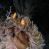images/Galerien/Aeltere_Bilder/a3704741281870802-7463.jpg
