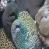 images/Galerien/Aeltere_Bilder/a434771273696304-24069.jpg