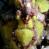 images/Galerien/Aeltere_Bilder/a7175511281867473-28601.jpg