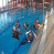images/Galerien/Kindertauchen_201706/20170331_174232.gif