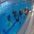 images/Galerien/Kindertauchen_201706/20170331_174303.gif