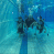 images/Galerien/Kindertauchen_201706/20170331_174445.gif