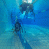 images/Galerien/Kindertauchen_201706/20170331_174537.gif