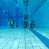 images/Galerien/Kindertauchen_201706/20170331_175239.gif
