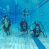 images/Galerien/Kindertauchen_201706/20170331_175244.gif