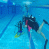 images/Galerien/Kindertauchen_201706/20170331_175607.gif