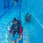 images/Galerien/Kindertauchen_201706/20170331_175714.gif