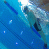 images/Galerien/Kindertauchen_201706/20170331_180052.gif