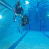 images/Galerien/Kindertauchen_201706/20170331_180058.gif