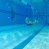 images/Galerien/Kindertauchen_201706/20170331_180110.gif