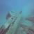 images/Galerien/Kroatien_201908/Kroatien_TSC_201908_011.jpg
