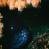 images/Galerien/Kroatien_201908/Kroatien_TSC_201908_044.jpg