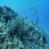images/Galerien/Kroatien_201908/Kroatien_TSC_201908_046.jpg