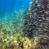 images/Galerien/Kroatien_201908/Kroatien_TSC_201908_047.jpg