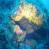 images/Galerien/Kroatien_Juni/file0014.jpg