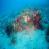 images/Galerien/Kroatien_Juni/file0036.jpg