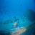 images/Galerien/Kroatien_Juni/unbenannt-1.jpg