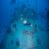 images/Galerien/Kroatien_Juni/unbenannt-2.jpg