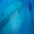 images/Galerien/Kroatien_Juni/unbenannt-6.jpg